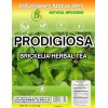 B-Experts Store Prodigiosa Herbal Tea – 4 oz (113g) –