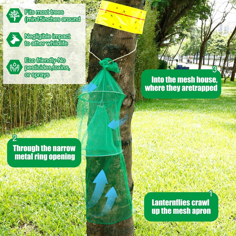 Qualirey 2 Pack Spotted Lanternfly Traps and 2 Rolls Spotted