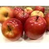 Home-Growth Crisp, Sweet Miniature Apple, Rockit Apple - 10 Seeds