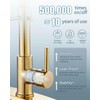 Casavilla LED Kitchen Faucet, Brushed Gold Kitchen Faucet with Soap