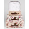 Sass & Belle Vintage Rose Suitcases - Set of 3