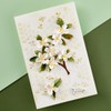 Spellbinders Mock Orange Etched Dies, Metal
