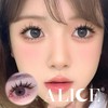 ALICE Natural Lash Clusters Wispy Eyelash Extensions Manga Clusters Lashes