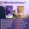 HYBRID HERBS – Organic Wild Chaga Mushroom Powder 10X Strength