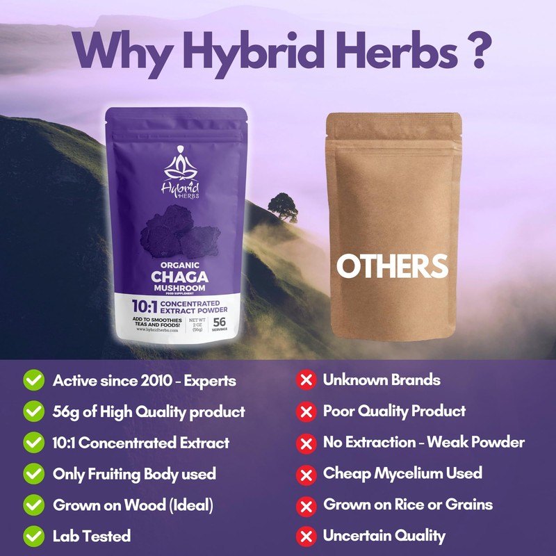 HYBRID HERBS – Organic Wild Chaga Mushroom Powder 10X Strength