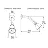 HELVEX Regadera Optima con Brazo Chapeton H-200 Accesorio