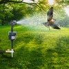 Motion Activated Sprinkler with Day & Night Detection Modes Repellent