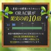 【残留農薬検査済】ブルーベリー葉 粉末 10g パウダー ポリフェノール アイケア 宮崎県産 くにさと35号 添加物不使用