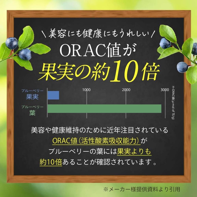 【残留農薬検査済】ブルーベリー葉 粉末 10g パウダー ポリフェノール アイケア 宮崎県産 くにさと35号 添加物不使用