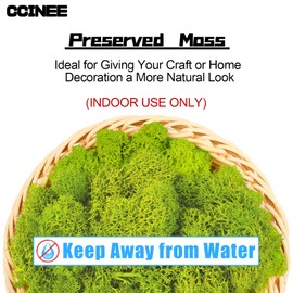 CCINEE Moss Preserved, 4 OZ Fake Green Reindeer Moss for Potted Plants for Craft Arts Floral Wall Decor Wedding Centerpieces Fairy Garden Artificial Terrariums Decoration for Christmas(Chartreuse)