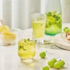 담터 콜드브루티 샤인머스캣 그린티 Damteo Cold Brew Tea Shine Muscat