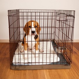 SPOT Stainless Steel Coop Cup with Wire Hooks – Durable, Chew-Resistant Food/Water Bowl for Cages & Crates, Easy Install & Removable, for Cats, Dogs, Birds & Reptiles - 20 Oz (2.5 Cups)