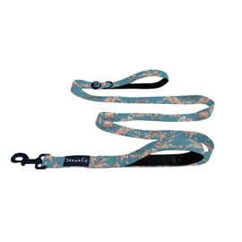 ShawnCo Dream Walk Dog Leash- Premium, Nylon Pet Leash with Soft Neoprene Handle for Small, Medium and Large Dogs (Freckle's Garden, M/L 6FT w/ 2 Handles)
