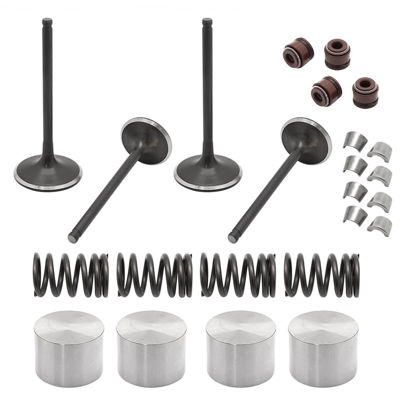 Mabutingti Inlet Outlet Engine Valve Kit for Suzuki Quadsport 400