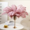 Larryhot Pink Ostrich Feathers Bulk- 16-18 inch 10pcs Feathers for
