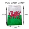 Welsh Flag Design Paper Bag ideal for counter bag, party