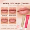5 Pack Summer Special Lip Balm Butter Set, Tinted Lip