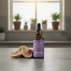 Extracto Hongo Reishi Ultra Concentrado 30ml