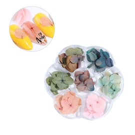 Healvian 50pcs Dried Flower Nail Art Stickers Preserved Gradient Maple Leaf Decorations for Manicure for Home and for Creative Nail Designs and Projects