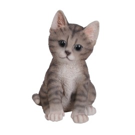 Pet Pals Kitten Tabby by Vivid Arts