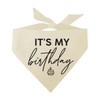 It's My Birthday Dog Bandana (Natural, OS 966)