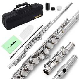 MoResolune Closed Hole C Flute 16 Key for Beginner Student Nickel Flute with Carrying Case Stand Gloves Cleaning Cloth for School Band Instruments