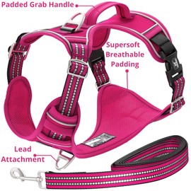 TUFFDOG Easy-Fit Dog Harness Small Dog - Fast Release Neck Clip, Premium Padded Reflective No Pull Harness with Control Handle, Adjustable Step-in Dog Vest Plus Free Matching Lead (S, Hot Pink)