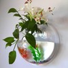 DSBAOMA Wall Mounted Fish Bowl Hanging Betta for Aquarium Wall