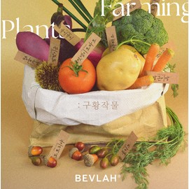 classic nail Vibla Guhwang Crop Glitter Syrup Gel 15 Piece Set + 2 Top Gels / 비블라 구황작물 글리터 시럽젤 15종세트+ 탑젤2개