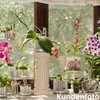 Orchitop M Set Orchid Pot with Saucer for All Orchids