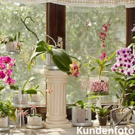 Orchitop M Set Orchid Pot with Saucer for All Orchids Pink