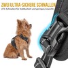 OneTigris ANTZ Tactical Harness Set for Small Dogs, and Lead