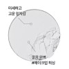 Innisfree 이니스프리 노세범 미네랄 팩트 8.5g Innisfree No-Sebum Mineral Pact