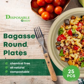 DISPOSABLE GREEN – Round Disposable Plates, Bagasse Serving Plates, Dinner Plates for Parties, Weddings, Catering, & More, Disposable Plates for Hot Food & Cold Food, 25 cm, 25-pcs