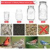 3 PCS | Bird Feeder for Outside Hanging | Cardinal