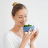 Rotho Tresa Bowl 0.35 L with Lid, Food-Grade Plastic (PP),