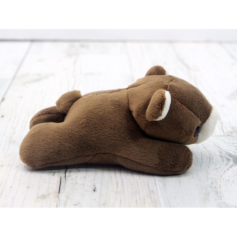 takeoff pokepuni brown bear