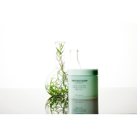 The Face Shop Tea Tree Toner Pad 70pcs