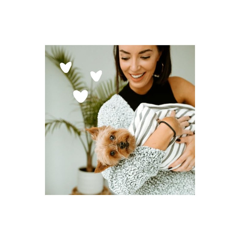 earthbath, Lavender Dog Shampoo - Coat Brightening Shampoo for Dogs,