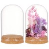 BENECREAT Glass Display Dome with Cork Base, 2 Sets, 11.8x8cm