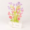 GreetingLife KE-37 Blooming Card Sweet Pea