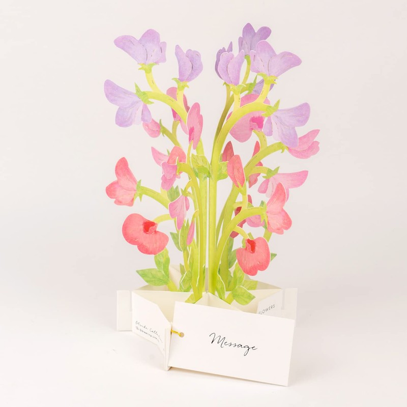 GreetingLife KE-37 Blooming Card Sweet Pea