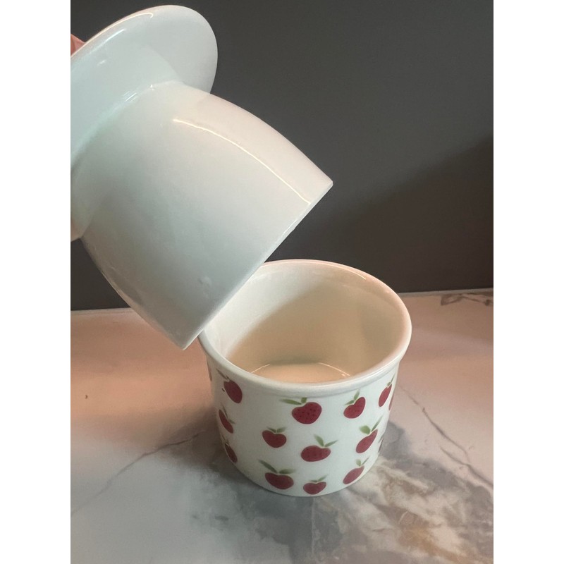 French Butter Crock for Counter With Water Line French Butter