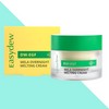 Easydew Spot Melting Cream Overnight Melting 30gX1 / 이지듀 기미