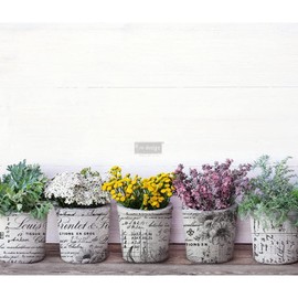 Redesign Décor Transfers® Lovely Ledger Wall Art 24 x 31 Inch