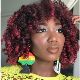 XGY Hair 8 PCS Pre-twisted Yanky Twist Crochet Hair 14 Inch Ombre Burgundy Passion Twist Crochet Braiding Hair Pre-Looped Curly Crochet Braids Synthetic Spring Twist Crochet Hair Extensions (1B/BUG#)