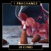 Fumino® Coconut Fresh Incense Cones 20 per Box Masala Agarbatti
