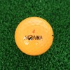 Honma Golf 2023D1 SPIN BTQ2301 0036 OG 3P OG