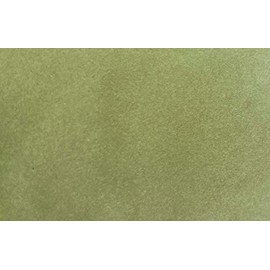 Sam Poole - Botanical Stains - Carrot Top Green