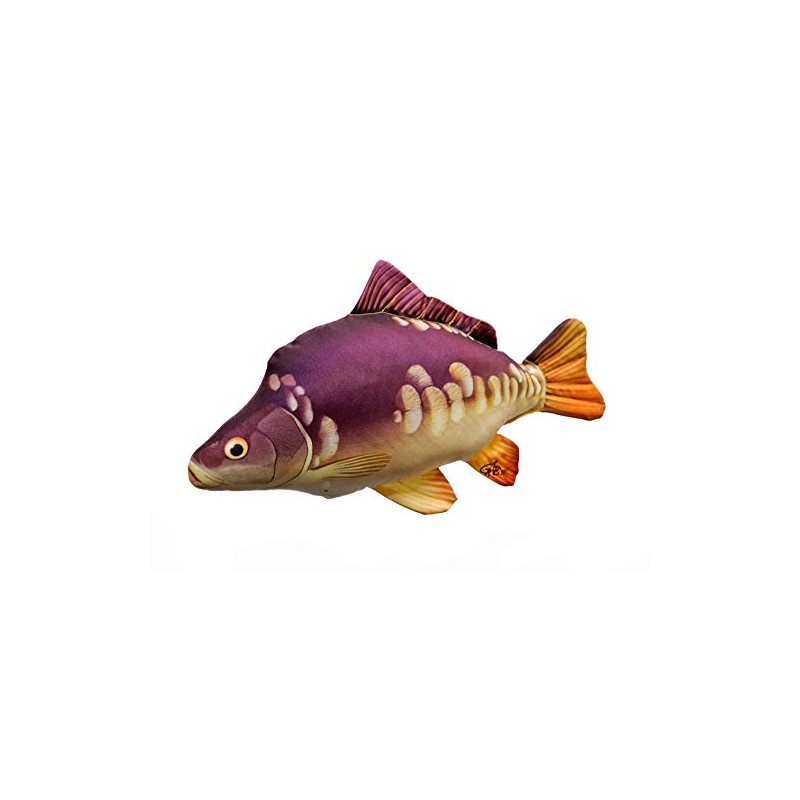Novelty Small CARP Pillow / Cushion Great Course Fishing or
